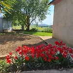 Casa Carpineta